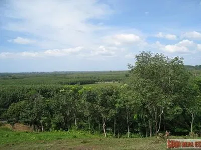 9,988 sqm Sea View Land for Sale, Mai Khao, Freehold - Mai Khao, Phuket - Photo 26
