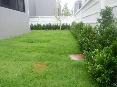 3-Bedroom Pool House for Rent, Koh Kaew, Near BISP - Koh Kaew, Phuket - Photo 16