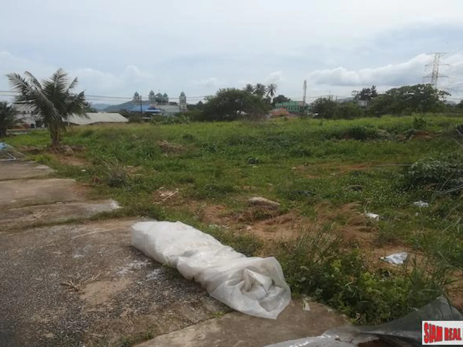 40,000 sqm Sea View Land for Sale, Mai Khao, Prime North Phuket - Mai Khao, Phuket - Photo 8