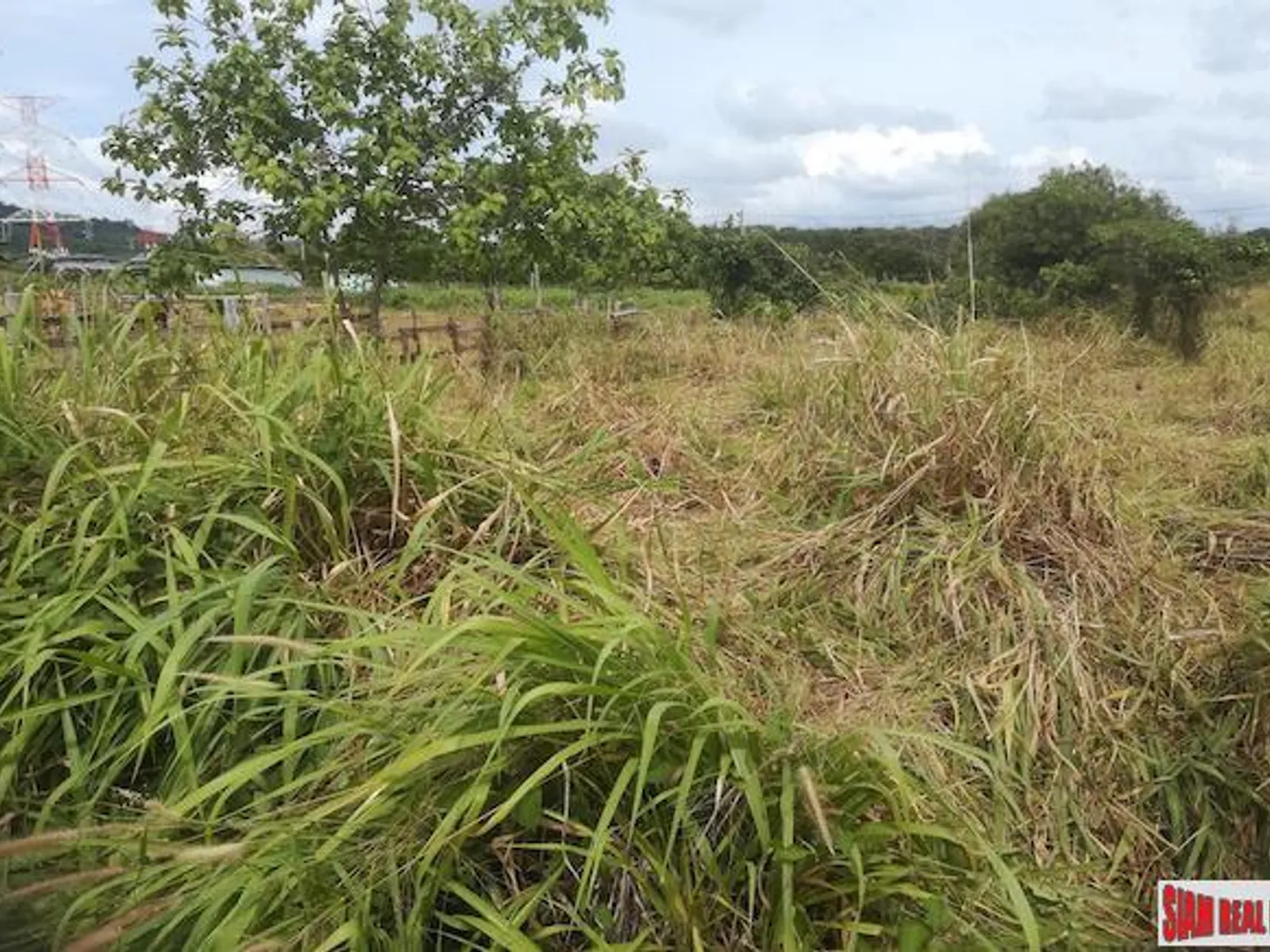 40,000 sqm Sea View Land for Sale, Mai Khao, Prime North Phuket - Mai Khao, Phuket - Photo 4