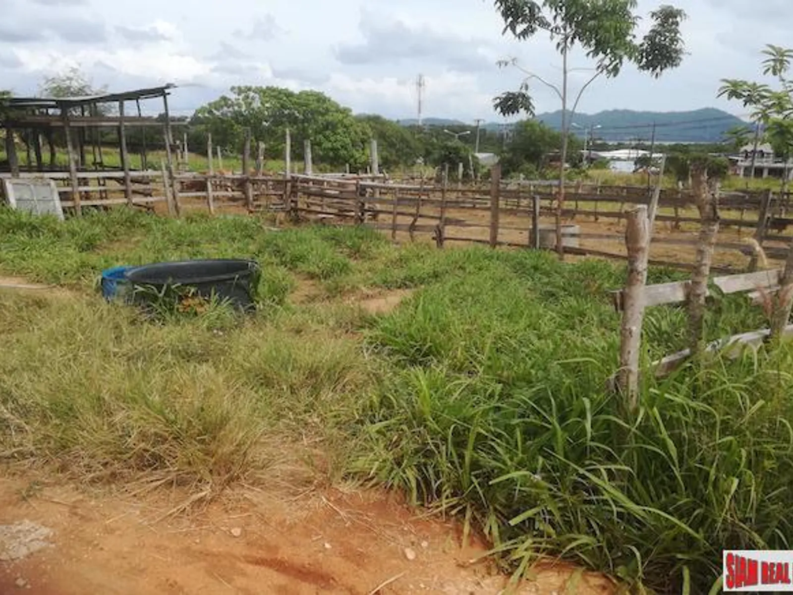 40,000 sqm Sea View Land for Sale, Mai Khao, Prime North Phuket - Mai Khao, Phuket - Photo 3