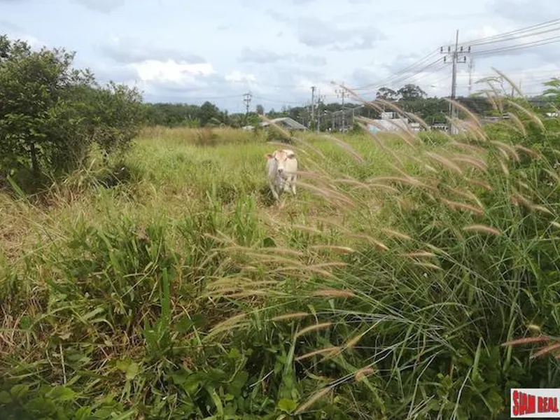 40,000 sqm Sea View Land for Sale, Mai Khao, Prime North Phuket - Mai Khao, Phuket - Main photo