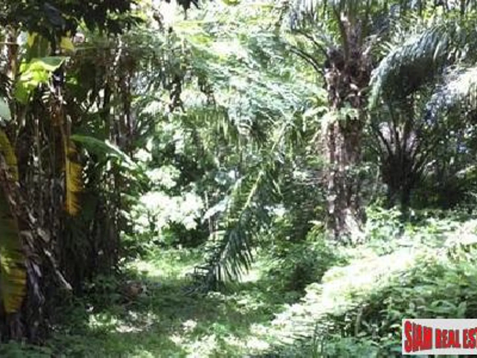 14,400 sqm Sea View Land for Sale, Ao Phor, Freehold - Ao Phor, Phuket - Photo 10