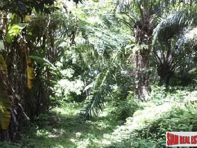 14,400 sqm Sea View Land for Sale, Ao Phor, Freehold - Ao Phor, Phuket - Photo 10