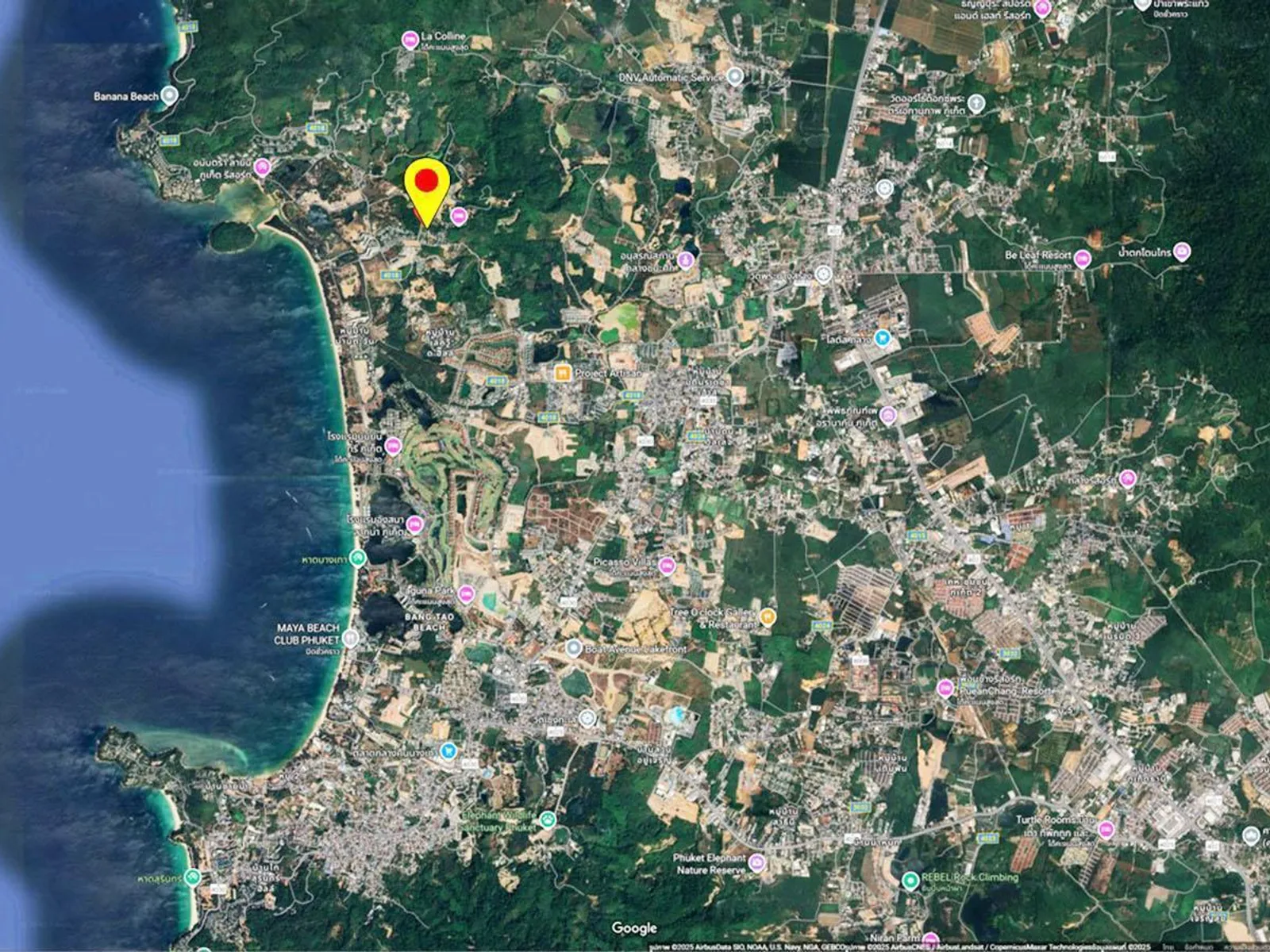 200 sqm Land Plot for Sale, Layan, 1.5 km to Beach - Layan, Phuket - Photo 9