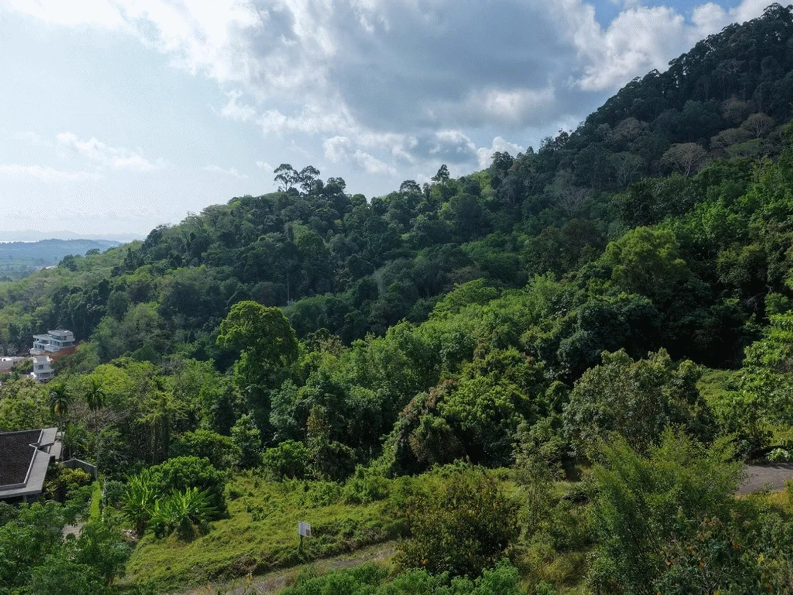 1,751 sqm Sea View Land for Sale, Baan Para, Pa Klok, Freehold - Pa Klok, Phuket - Photo 15