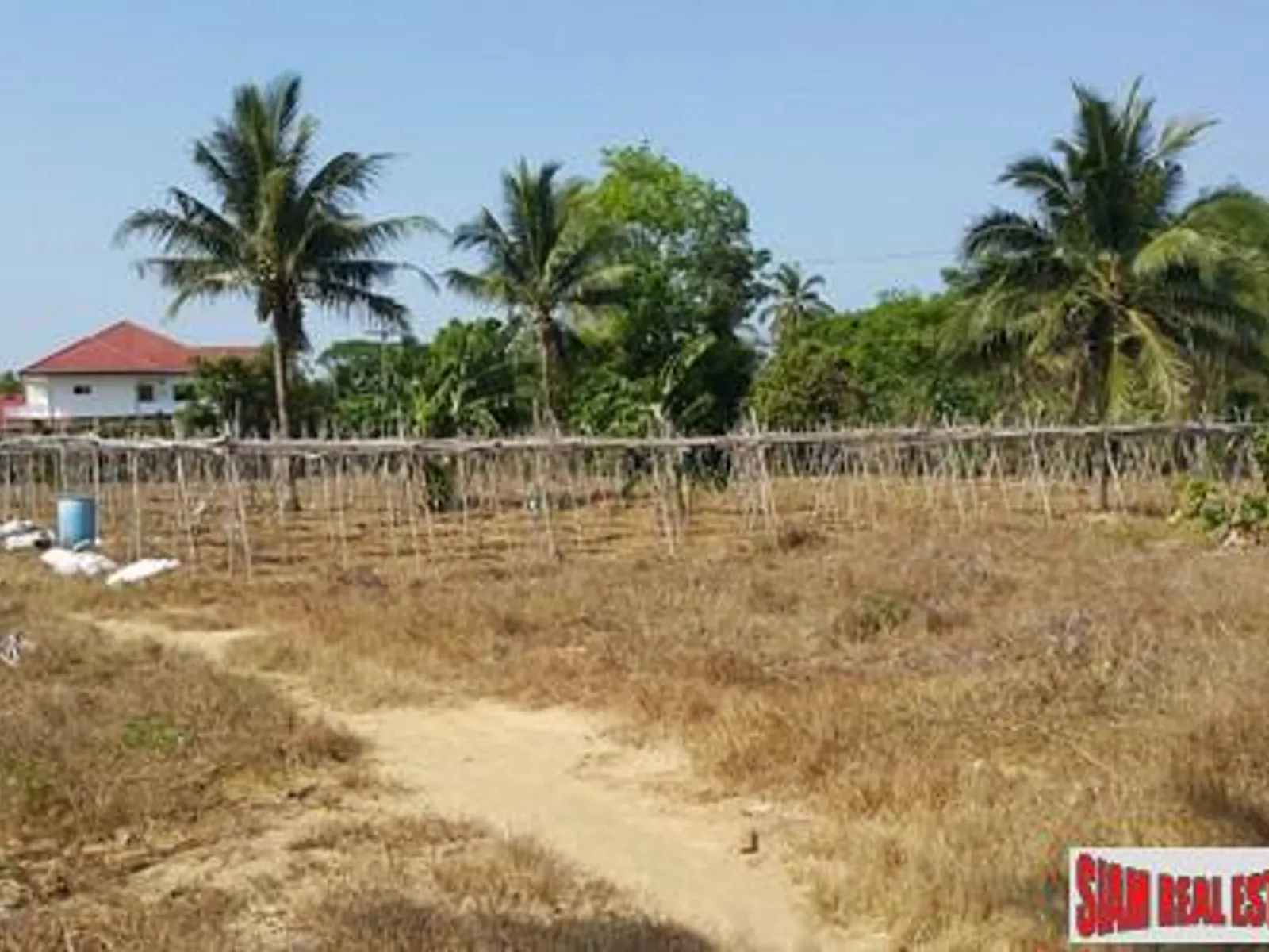 12,800 sqm Flat Land for Sale, Mai Khao, Freehold - Mai Khao, Phuket - Photo 5