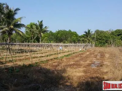 12,800 sqm Flat Land for Sale, Mai Khao, Freehold - Mai Khao, Phuket - Photo 4