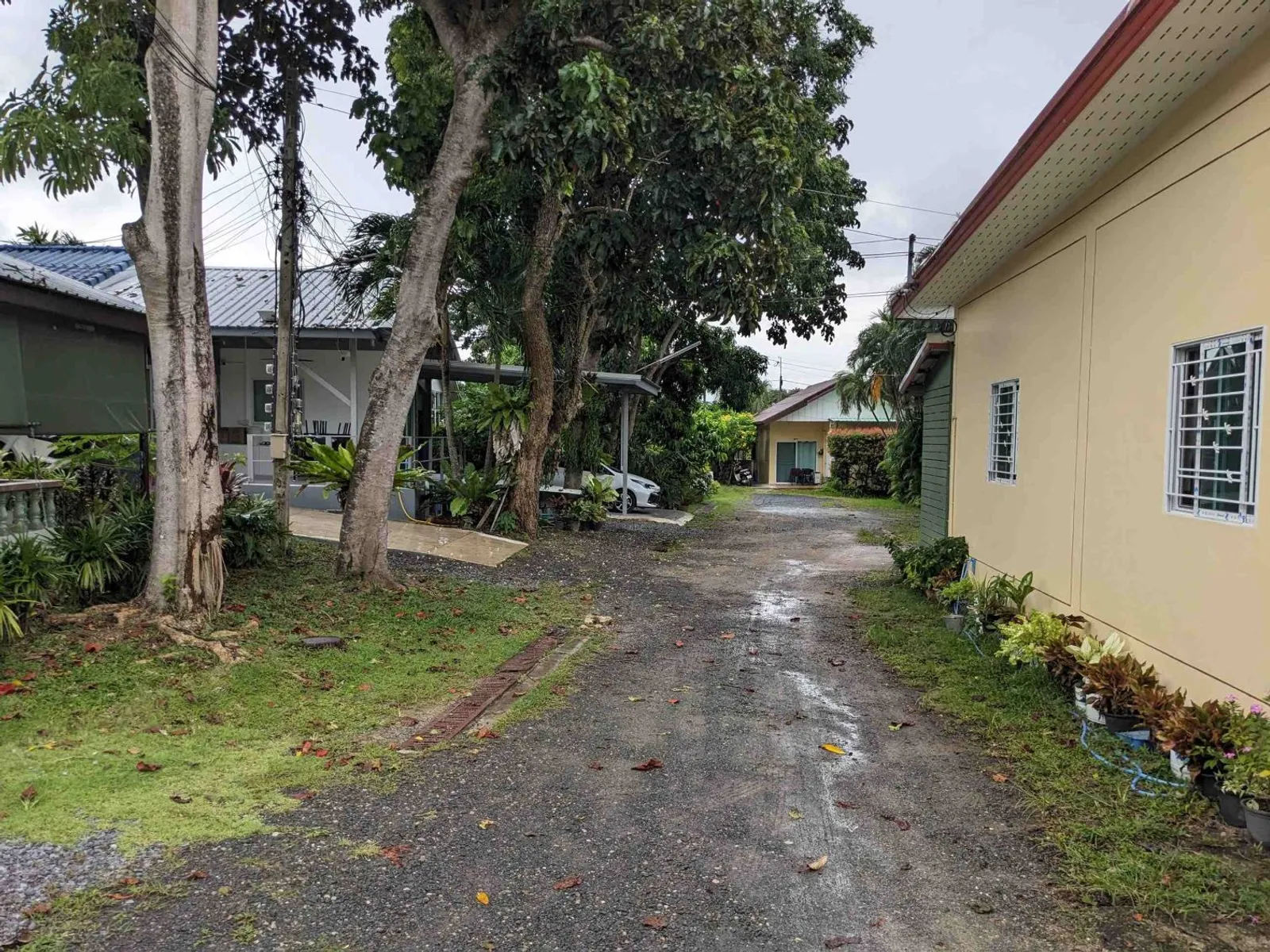 543 sqm Freehold Land for Sale, Nai Harn, Chanote Title - Rawai, Phuket - Photo 23