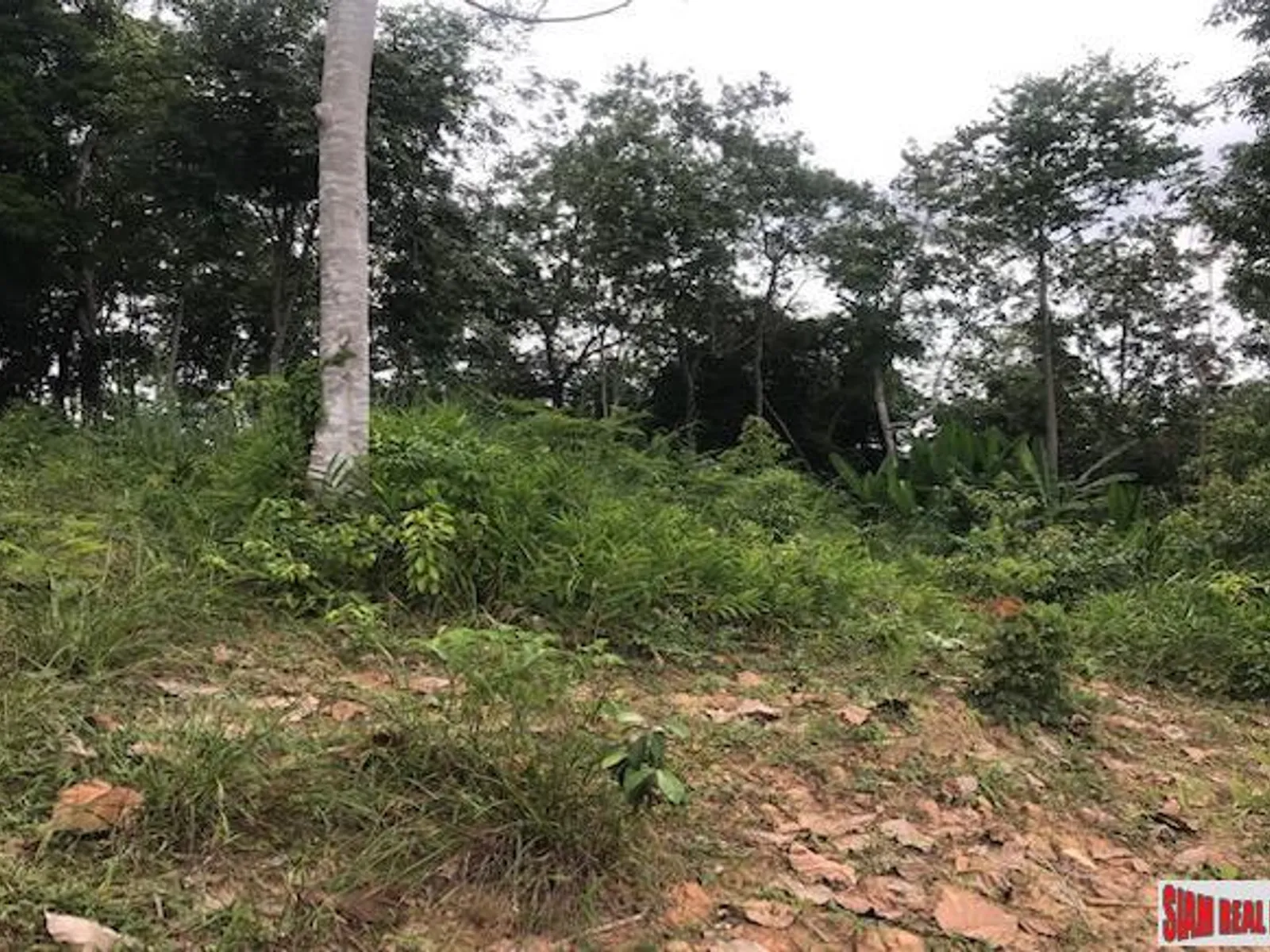 33,600 sqm Sea View Hillside Land for Sale, Koh Kaew, Freehold - Koh Kaew, Phuket - Photo 1