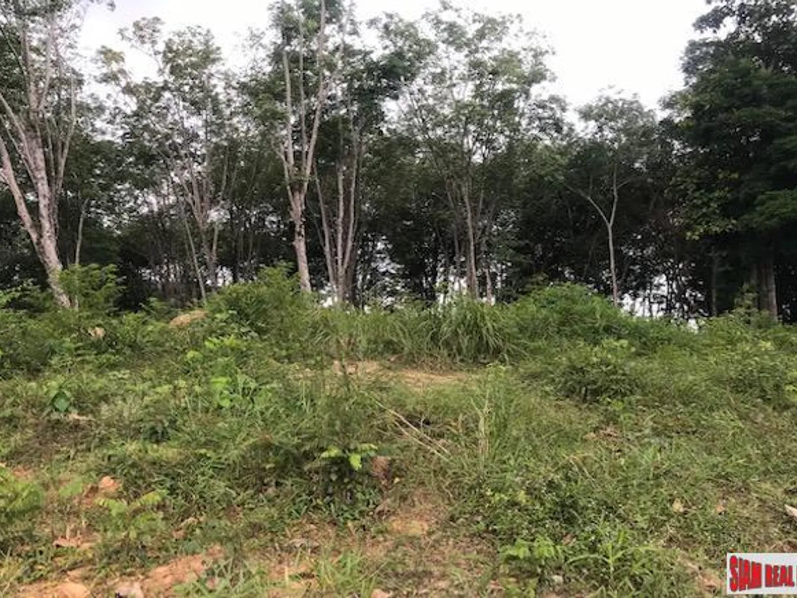33,600 sqm Sea View Hillside Land for Sale, Koh Kaew, Freehold - Koh Kaew, Phuket - Photo 7