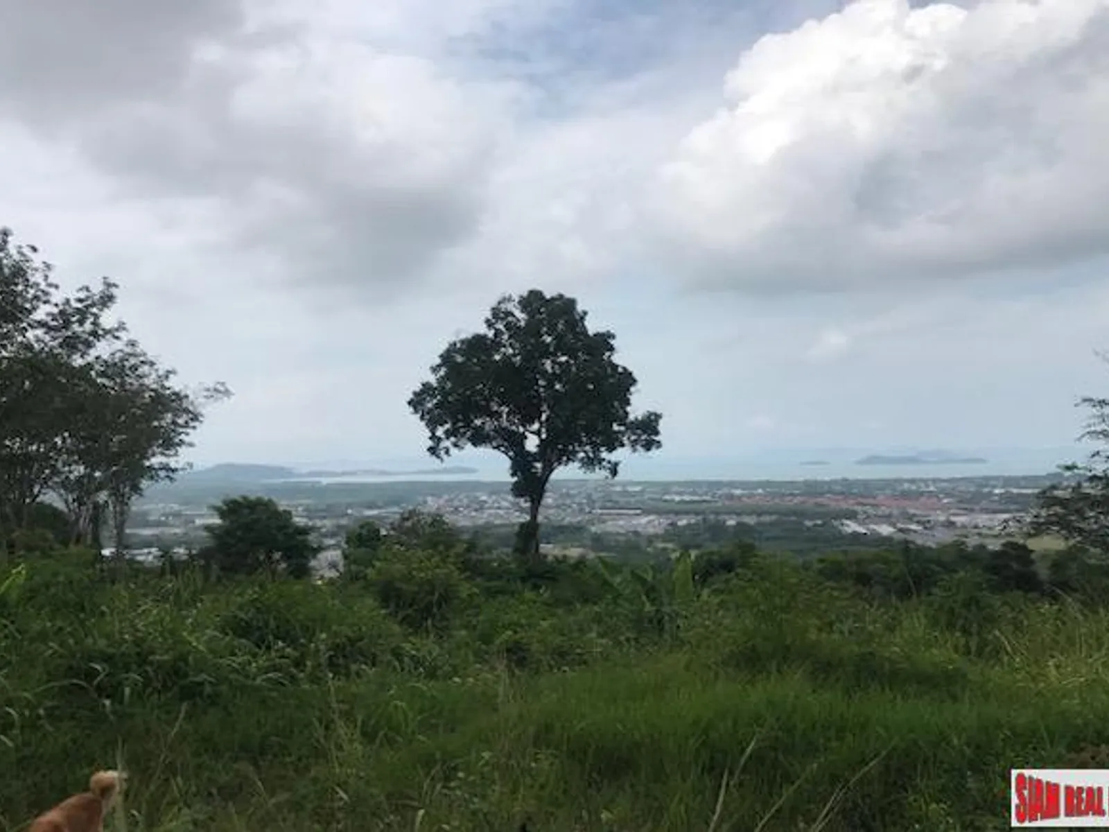 33,600 sqm Sea View Hillside Land for Sale, Koh Kaew, Freehold - Koh Kaew, Phuket - Photo 4