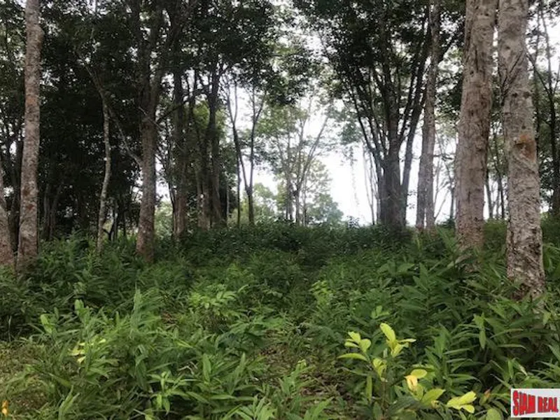 33,600 sqm Sea View Hillside Land for Sale, Koh Kaew, Freehold - Koh Kaew, Phuket - Main photo