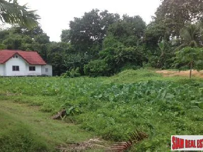 2-Bedroom Home with 2,456 sqm Land for Sale, Thalang, Freehold - Thalang, Phuket - Photo 3