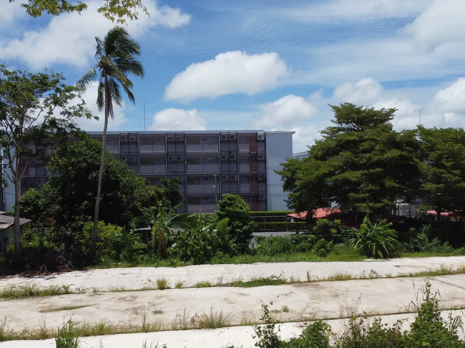 3,120 sqm Land for Sale, Rawai, 3 Chanote Deeds, Freehold - Rawai, Phuket - Photo 19