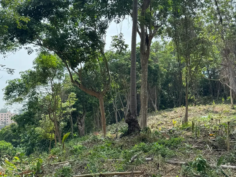 6,400 sqm Sea View Land for Sale, Surin Beach, Freehold - Surin Beach, Phuket - Main photo
