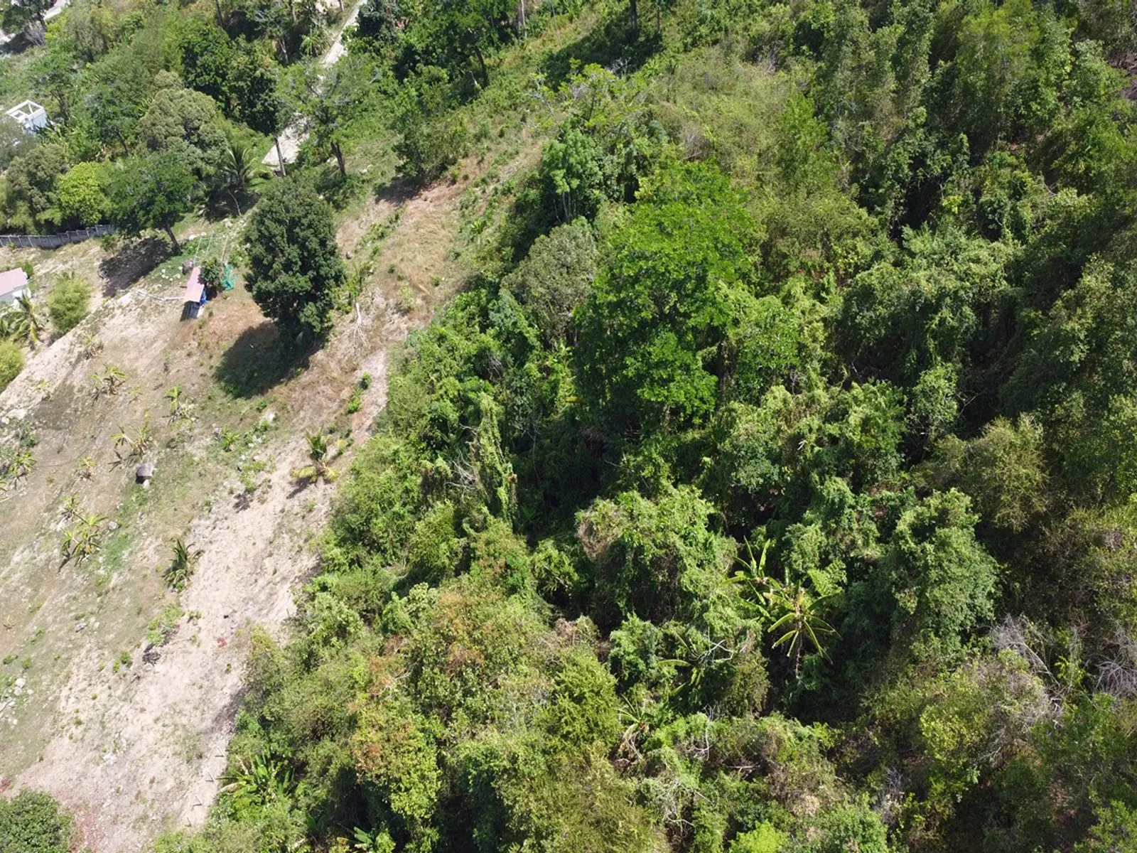 5,440 sqm Sea View Land for Sale, Chalong, Freehold - Chalong, Phuket - Photo 12