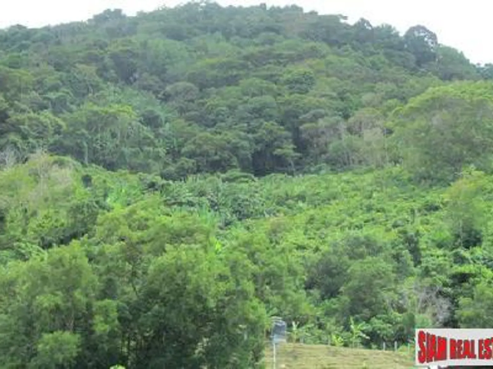 10,220 sqm Sea View Hillside Land for Sale, Karon/Kata, Freehold - Kata, Phuket - Photo 3