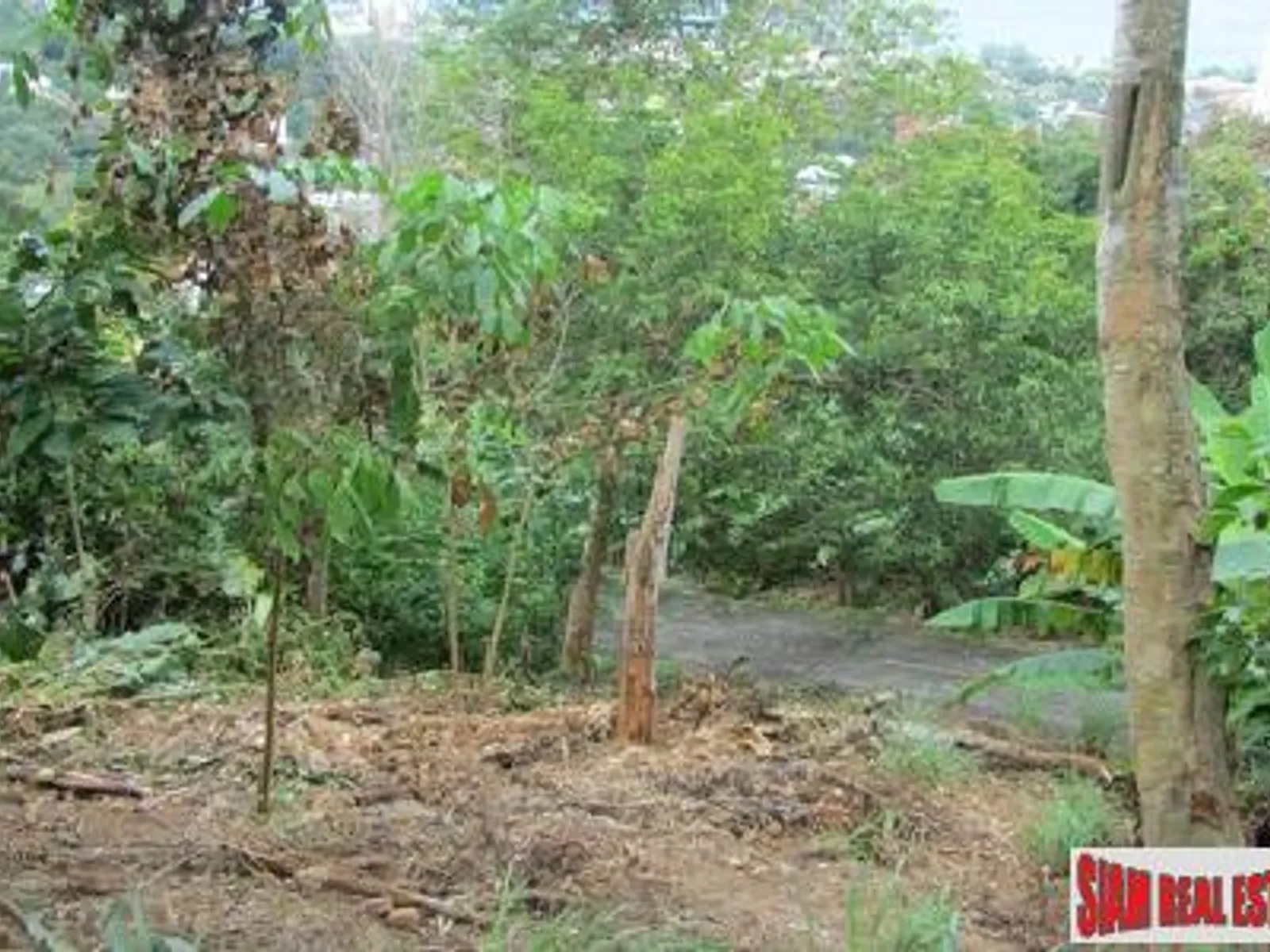 10,220 sqm Sea View Hillside Land for Sale, Karon/Kata, Freehold - Kata, Phuket - Photo 10