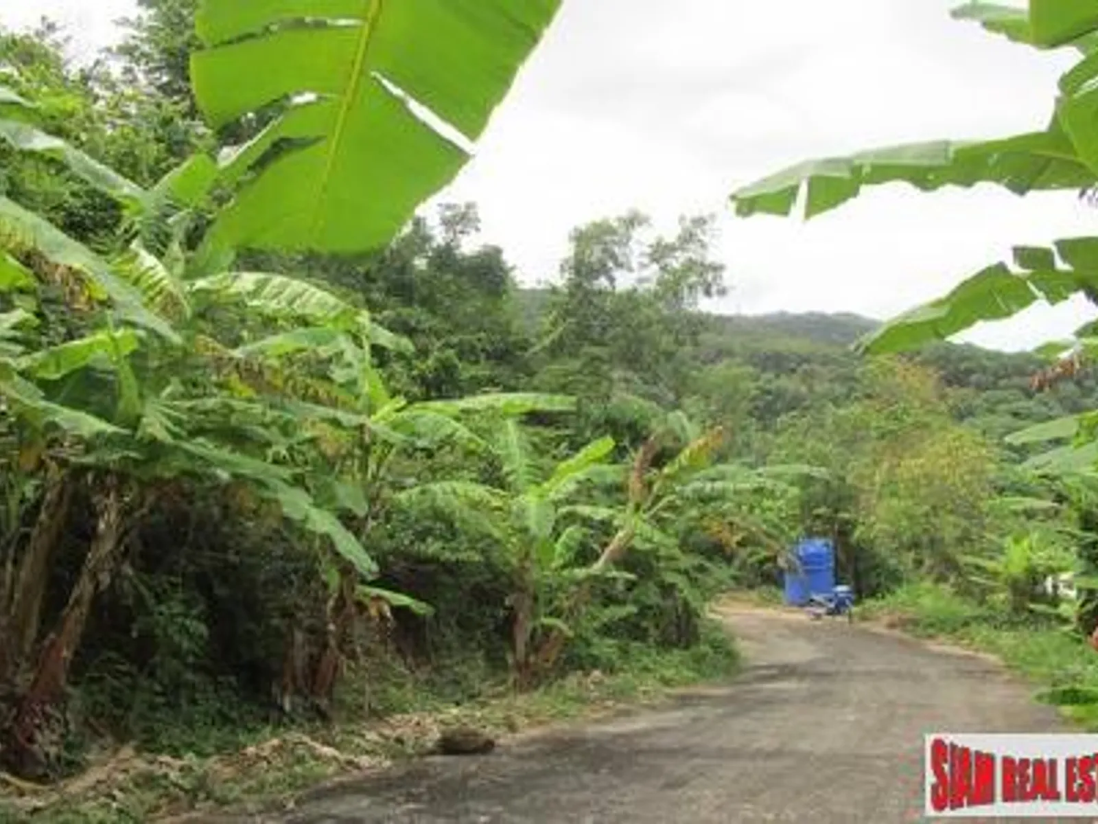 10,220 sqm Sea View Hillside Land for Sale, Karon/Kata, Freehold - Kata, Phuket - Photo 7