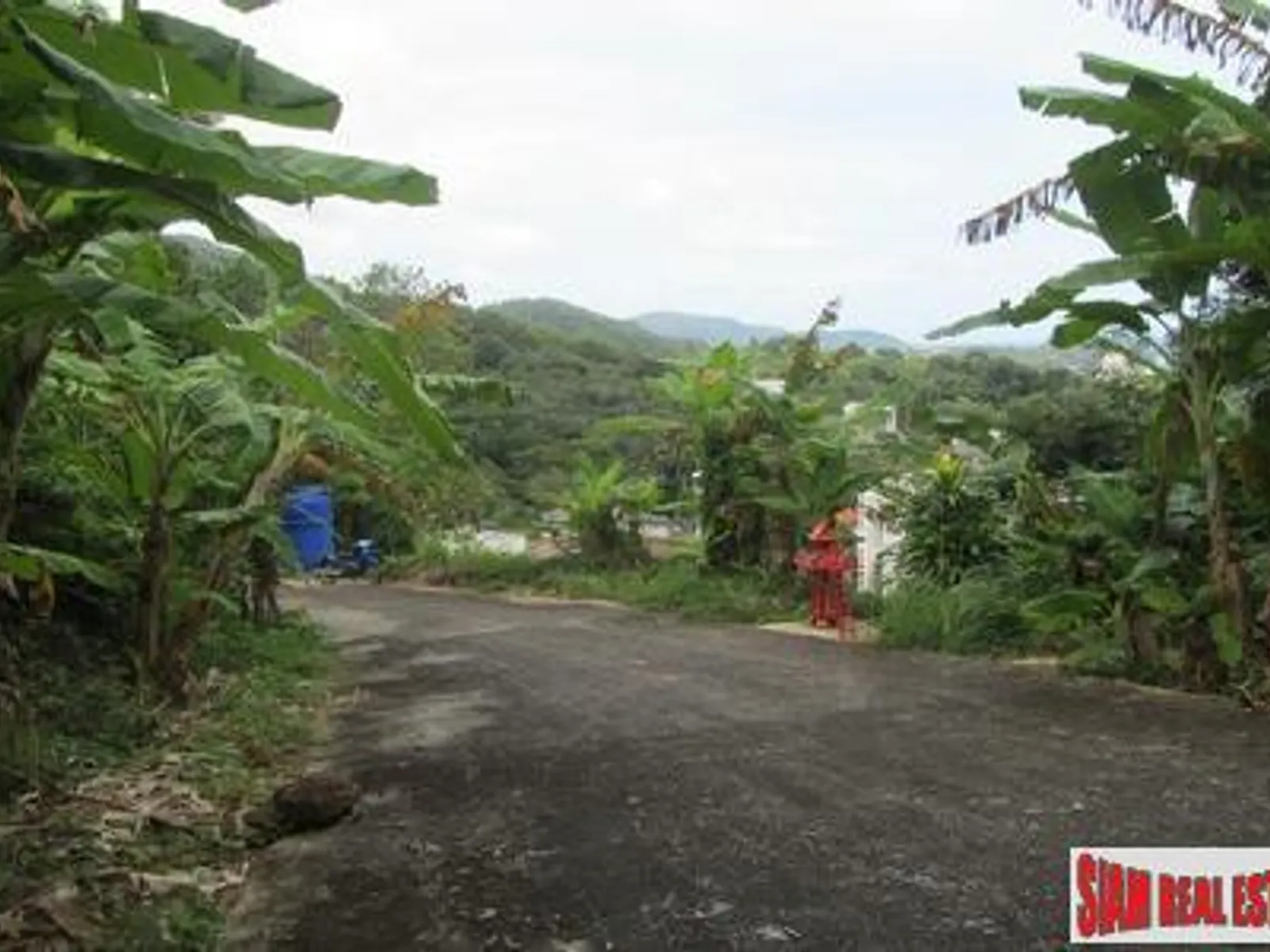 10,220 sqm Sea View Hillside Land for Sale, Karon/Kata, Freehold - Kata, Phuket - Photo 2