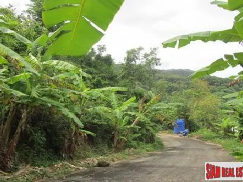 10,220 sqm Sea View Hillside Land for Sale, Karon/Kata, Freehold - Kata, Phuket - Main photo