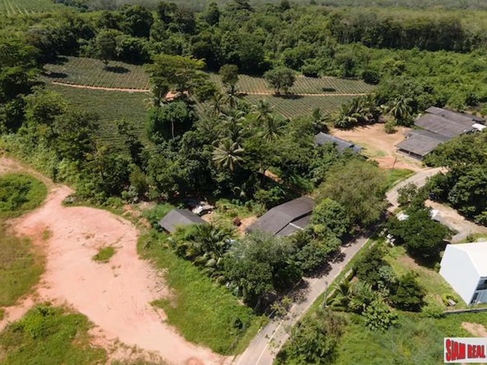 11,200 sqm Land for Sale, Mai Khao, Subdivisible, Freehold - Mai Khao, Phuket - Photo 3