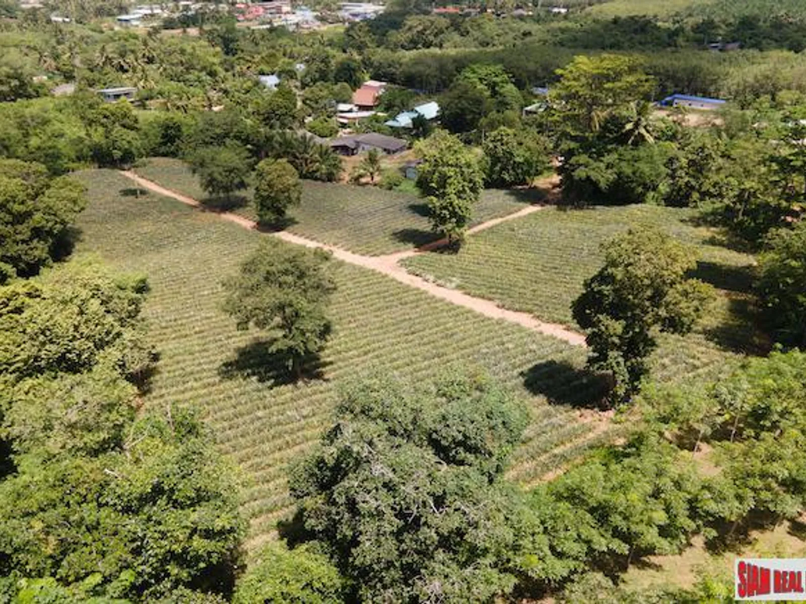 11,200 sqm Land for Sale, Mai Khao, Subdivisible, Freehold - Mai Khao, Phuket - Photo 9