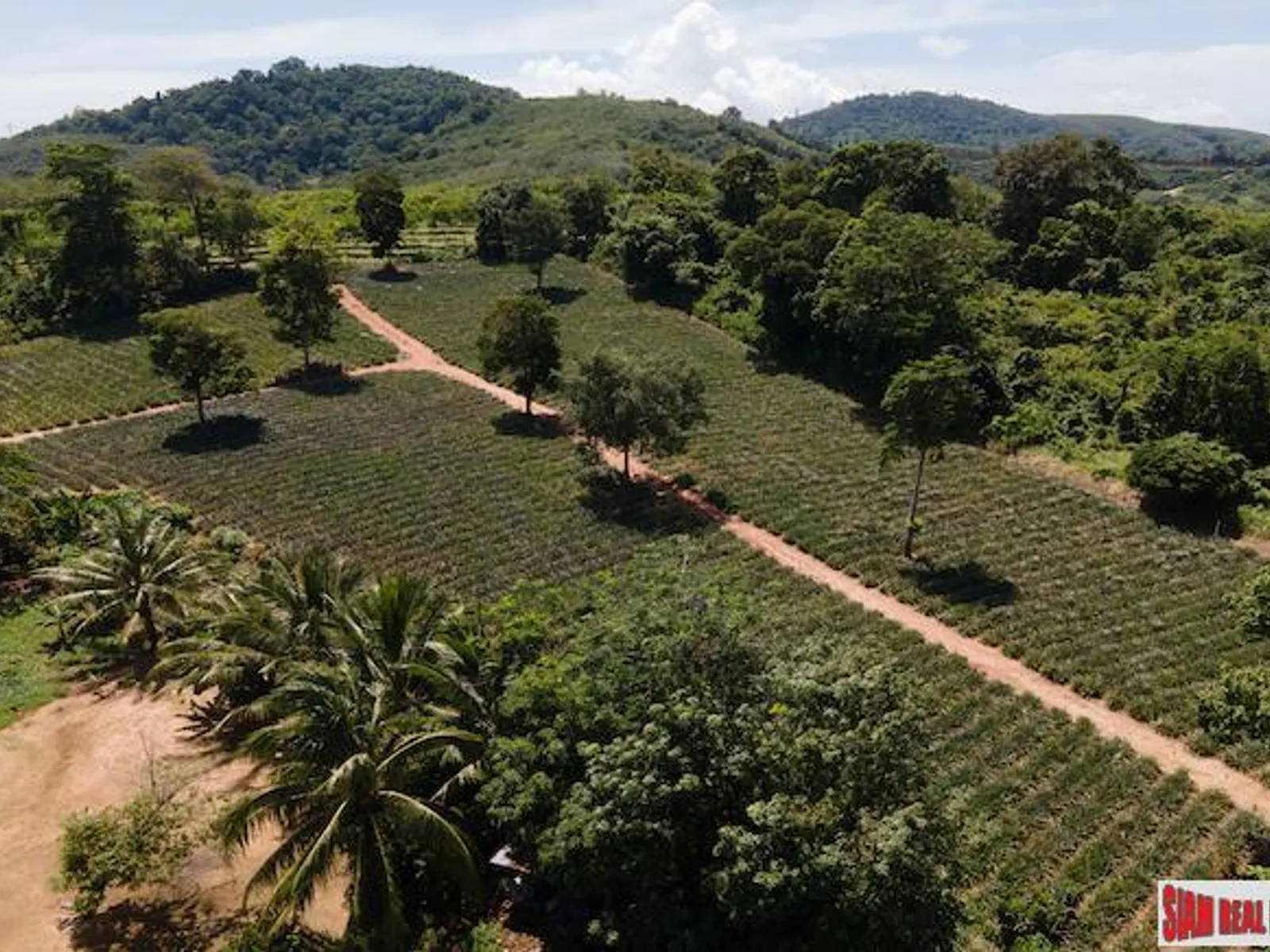 11,200 sqm Land for Sale, Mai Khao, Subdivisible, Freehold - Mai Khao, Phuket - Photo 6