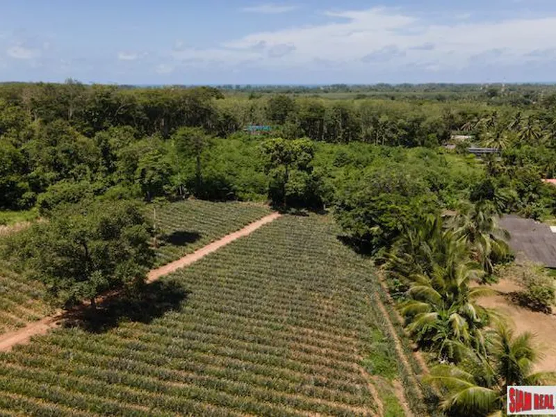 11,200 sqm Land for Sale, Mai Khao, Subdivisible, Freehold - Mai Khao, Phuket - Main photo