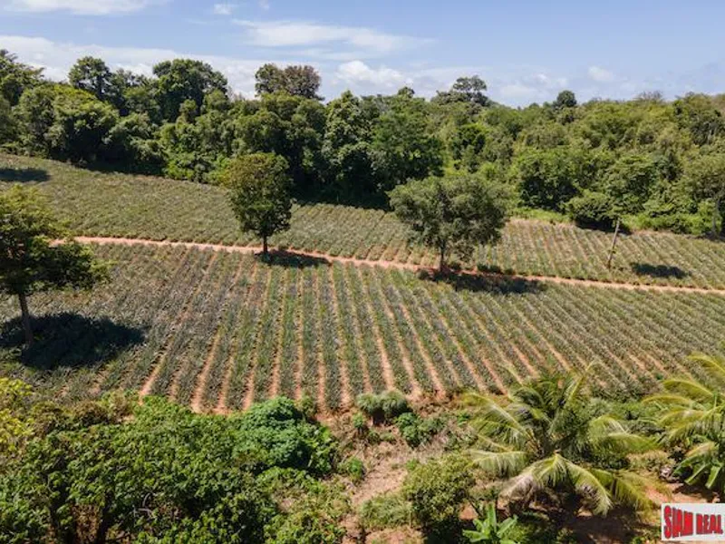 11,200 sqm Land for Sale, Mai Khao, Subdivisible, Freehold - Mai Khao, Phuket - Main photo