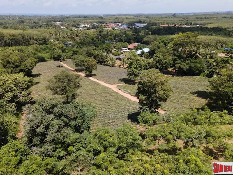 11,200 sqm Land for Sale, Mai Khao, Subdivisible, Freehold - Mai Khao, Phuket - Main photo