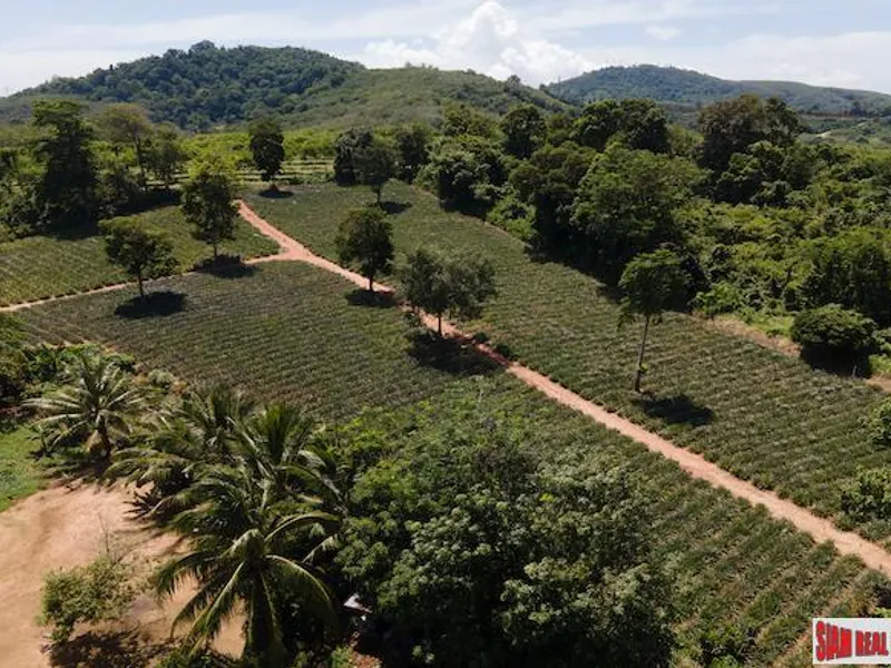 11,200 sqm Land for Sale, Mai Khao, Subdivisible, Freehold - Mai Khao, Phuket - Main photo