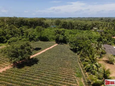 11,200 sqm Land for Sale, Mai Khao, Subdivisible, Freehold - Mai Khao, Phuket - See all photos