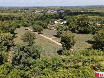 11,200 sqm Land for Sale, Mai Khao, Subdivisible, Freehold - Mai Khao, Phuket - Photo 8
