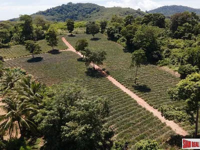 11,200 sqm Land for Sale, Mai Khao, Subdivisible, Freehold - Mai Khao, Phuket - Photo 7