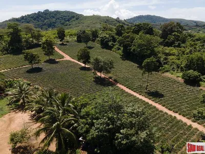 11,200 sqm Land for Sale, Mai Khao, Subdivisible, Freehold - Mai Khao, Phuket - Photo 6