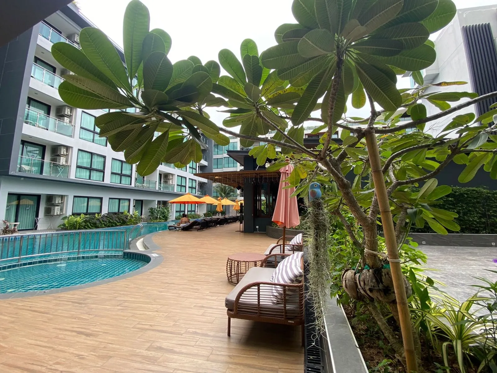 วีกะตะ ลักซ์ชัวรี่ คอนโด 1 ห้องนอน กะตะ วิวทะเล ขาย - Kata, Phuket - รูปภาพ 1