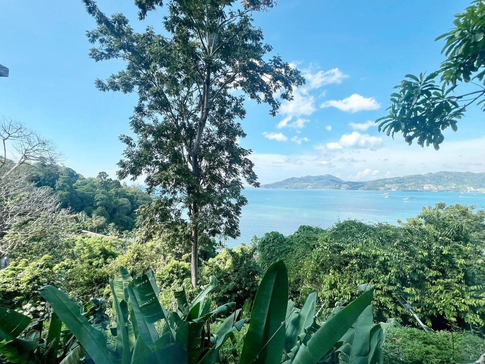 อมารี เรสซิเดนซ์ คอนโด 1 ห้องนอน วิวทะเล ขาย ป่าตอง - Patong, Phuket - รูปภาพ 37